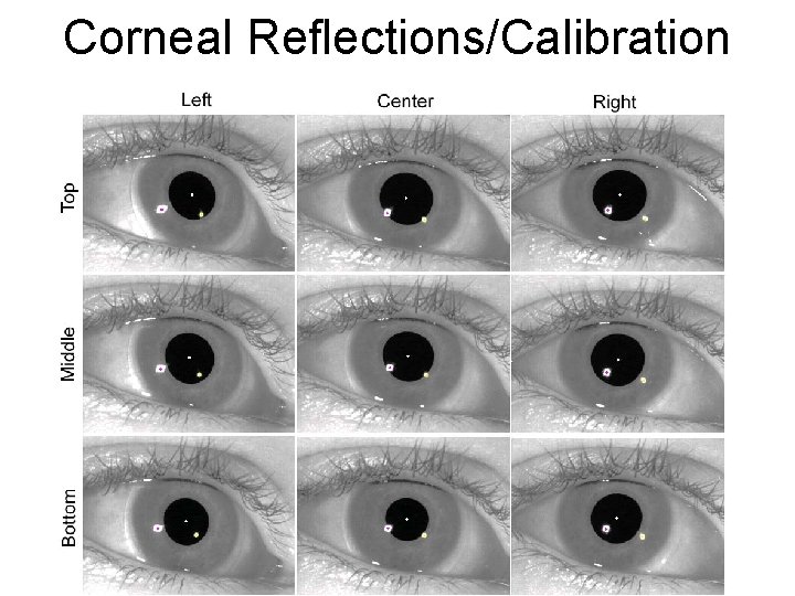 Corneal Reflections/Calibration Corneal Reflections/Calibration
