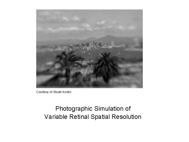 Courtesy of Stuart Anstis Photographic Simulation of Variable Retinal Spatial Resolution Courtesy of Stuart Anstis Photographic Simulation of Variable Retinal Spatial Resolution