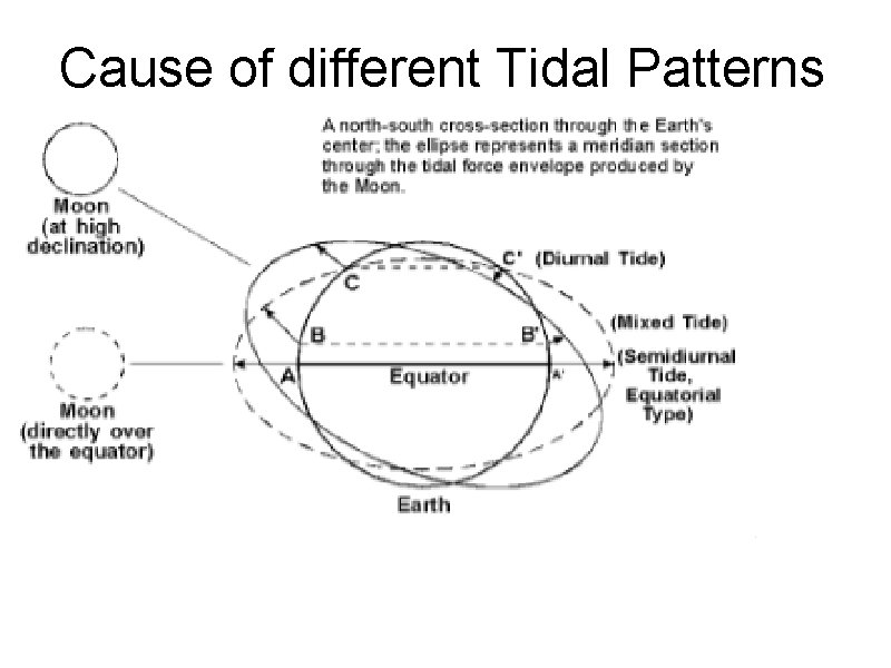 Cause of different Tidal Patterns 