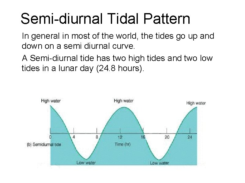 Semi-diurnal Tidal Pattern In general in most of the world, the tides go up