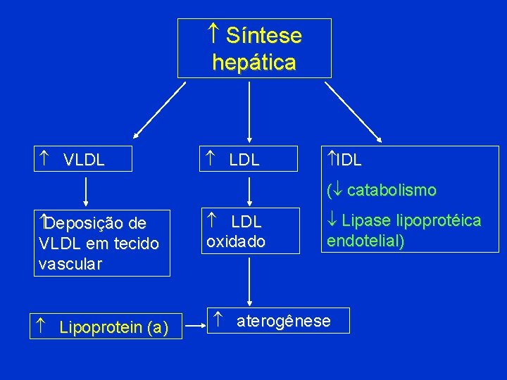  Síntese hepática VLDL IDL ( catabolismo Deposição de VLDL em tecido vascular Lipoprotein