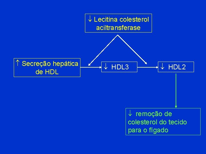  Lecitina colesterol aciltransferase Secreção hepática de HDL 3 HDL 2 remoção de colesterol