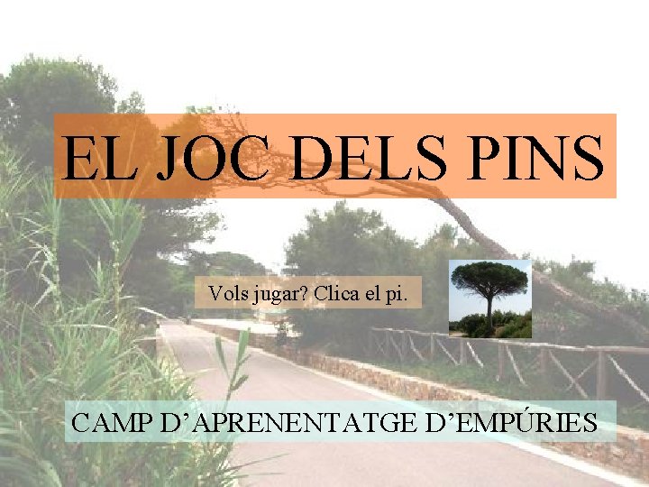 EL JOC DELS PINS Vols jugar? Clica el pi. CAMP D’APRENENTATGE D’EMPÚRIES 