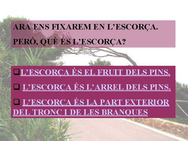 ARA ENS FIXAREM EN L’ESCORÇA. PERÒ, QUÈ ÉS L’ESCORÇA? q. L’ESCORÇA ÉS EL FRUIT