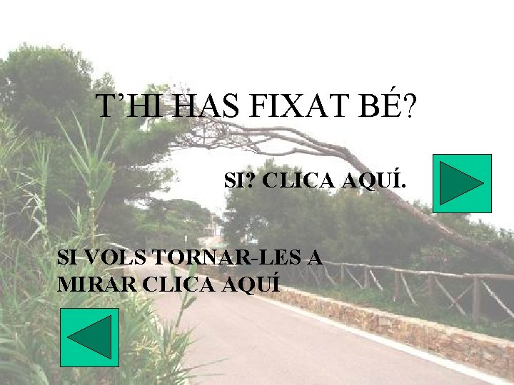 T’HI HAS FIXAT BÉ? SI? CLICA AQUÍ. SI VOLS TORNAR-LES A MIRAR CLICA AQUÍ