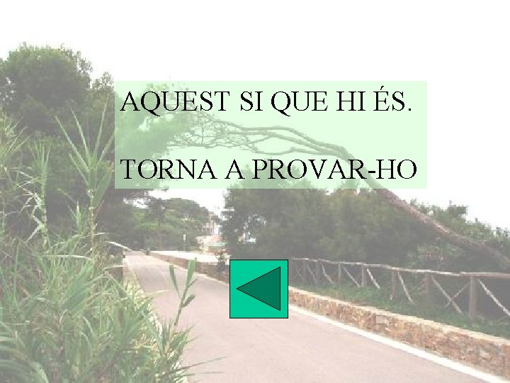 AQUEST SI QUE HI ÉS. TORNA A PROVAR-HO 