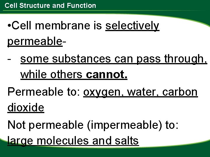 Cell Structure and Function • Cell membrane is selectively permeable- - some substances can