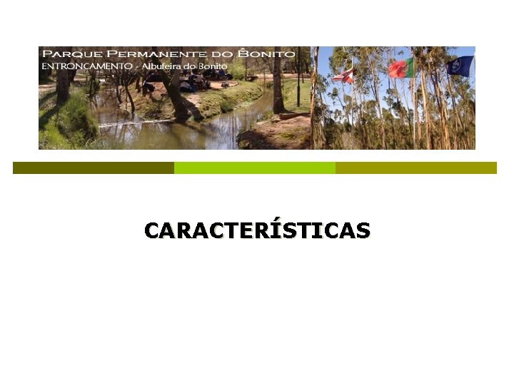 CARACTERÍSTICAS 