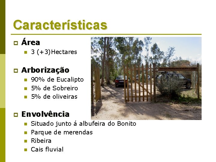 Características p Área n p Arborização n n n p 3 (+3)Hectares 90% de