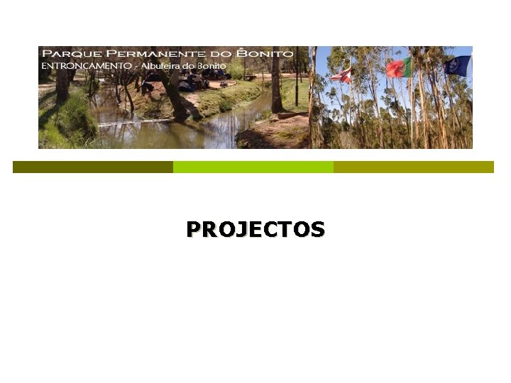 PROJECTOS 