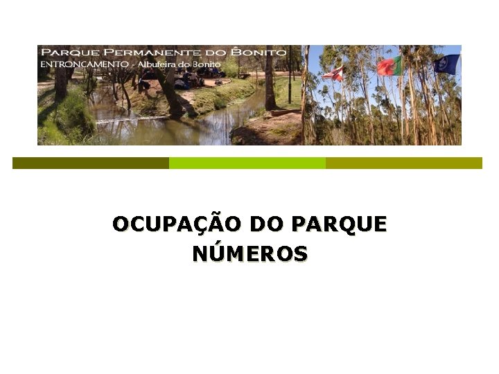 OCUPAÇÃO DO PARQUE NÚMEROS 