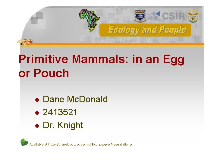 Primitive Mammals: in an Egg or Pouch l l l Dane Mc. Donald 2413521