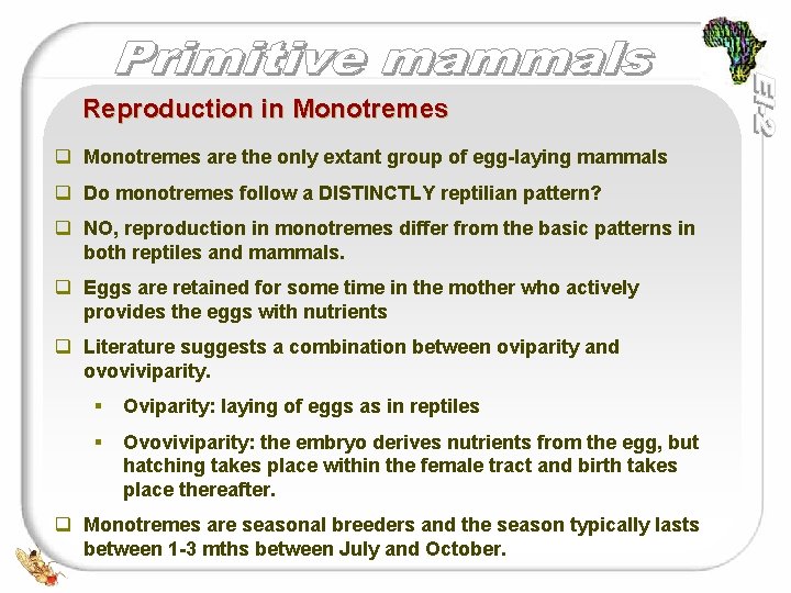 Reproduction in Monotremes q Monotremes are the only extant group of egg-laying mammals q