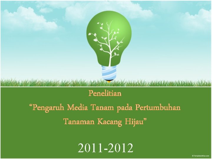 Penelitian “Pengaruh Media Tanam pada Pertumbuhan Tanaman Kacang Hijau” 2011 -2012 