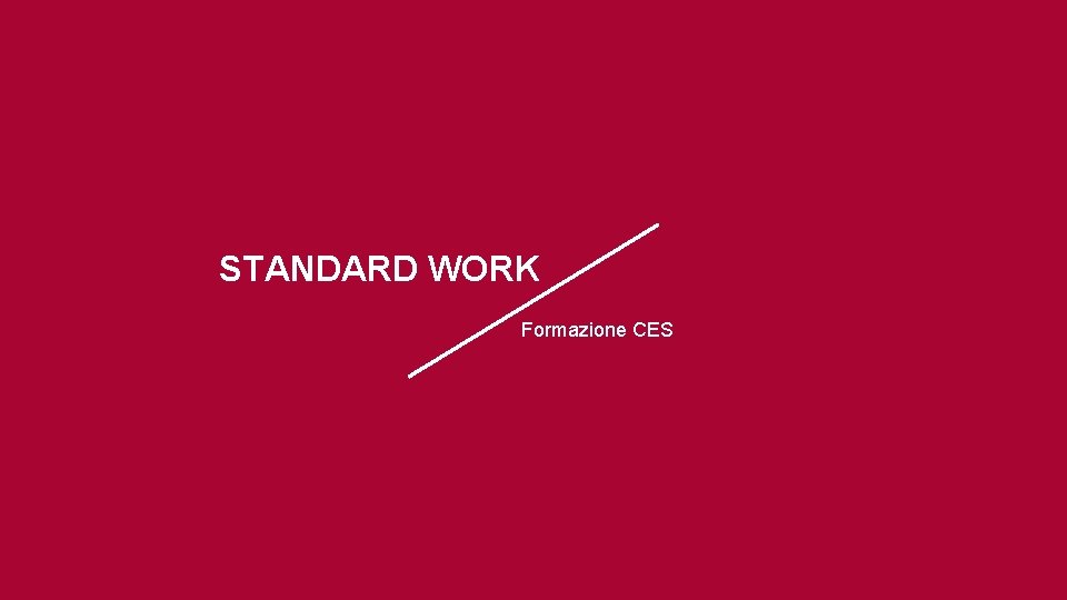 STANDARD WORK Formazione CES STANDARD WORK Formazione CES