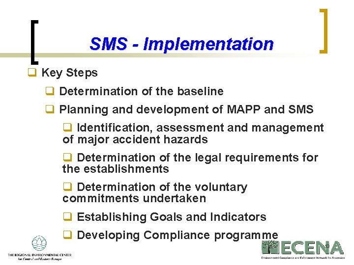 SMS - Implementation q Key Steps q Determination of the baseline q Planning and