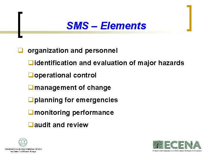 SMS – Elements q organization and personnel qidentification and evaluation of major hazards qoperational