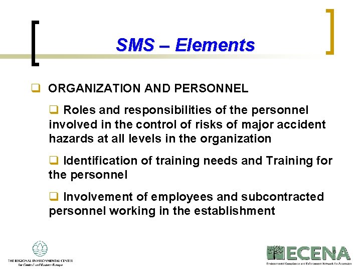 SMS – Elements q ORGANIZATION AND PERSONNEL q Roles and responsibilities of the personnel