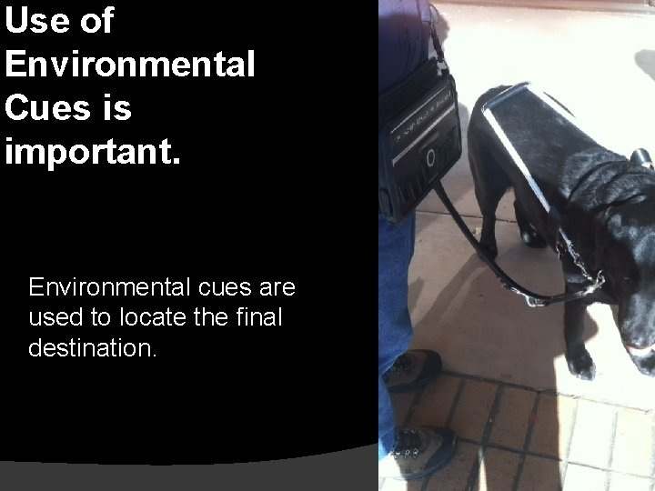 Use of Environmental Cues is important. Environmental cues are used to locate the final