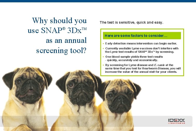 Why should you use SNAP® 3 Dx. TM as an annual screening tool? The