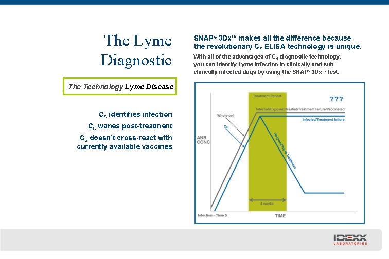 The Lyme Diagnostic The Technology Lyme Disease C 6 identifies infection C 6 wanes