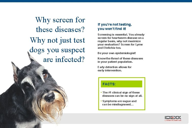 Why screen for these diseases? Why not just test dogs you suspect are infected?