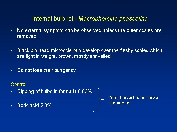 Internal bulb rot - Macrophomina phaseolina § § § No external symptom can be