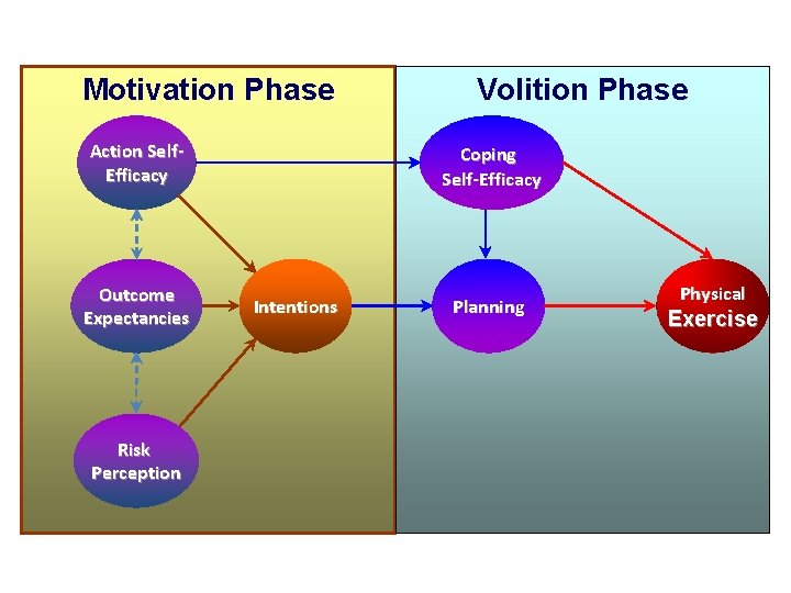 Motivation Phase Action Self. Efficacy Outcome Expectancies Risk Perception Volition Phase Coping Self-Efficacy Intentions