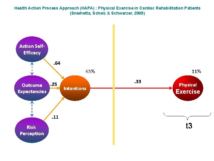 Health Action Process Approach (HAPA) : Physical Exercise in Cardiac Rehabilitation Patients (Sniehotta, Scholz