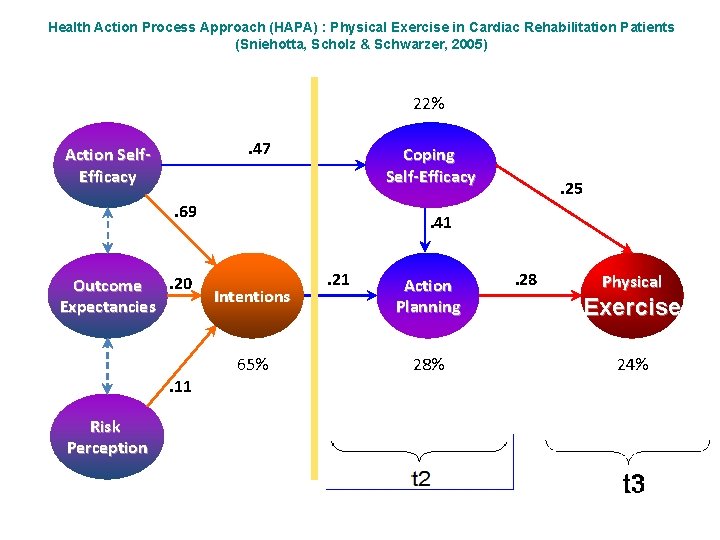 Health Action Process Approach (HAPA) : Physical Exercise in Cardiac Rehabilitation Patients (Sniehotta, Scholz