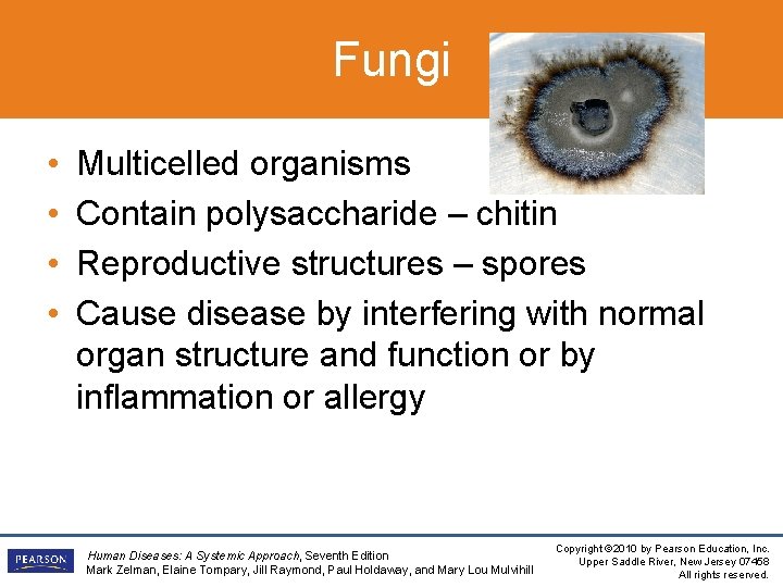 Fungi • • Multicelled organisms Contain polysaccharide – chitin Reproductive structures – spores Cause