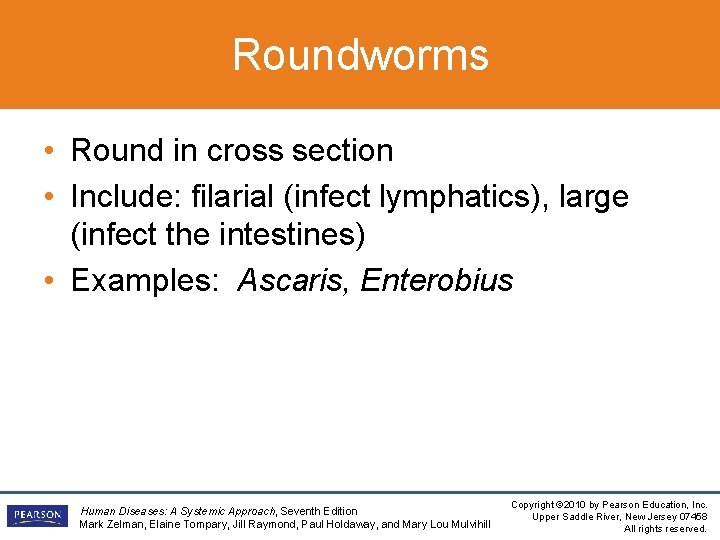 Roundworms • Round in cross section • Include: filarial (infect lymphatics), large (infect the