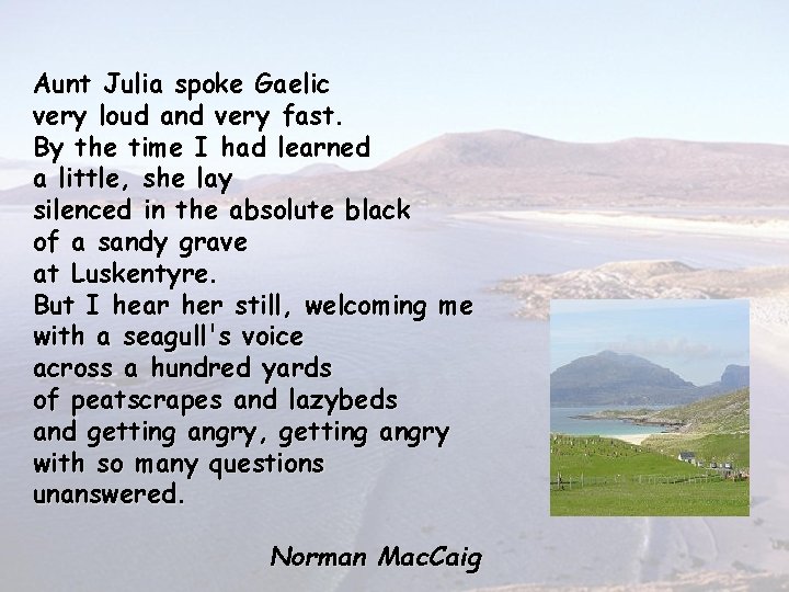 Aunt Julia spoke Gaelic very loud and very fast. By the time I had