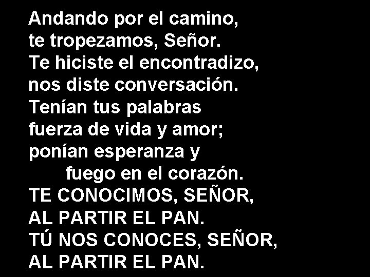 Andando por el camino, te tropezamos, Señor. Te hiciste el encontradizo, nos diste conversación.