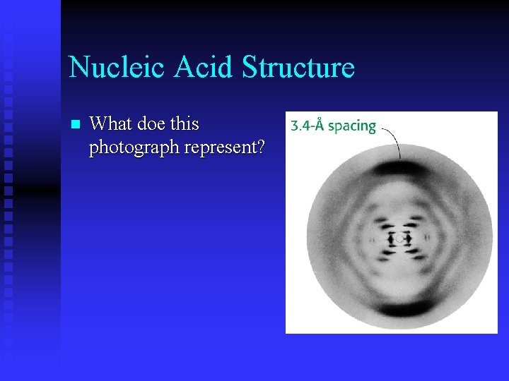 Nucleic Acid Structure n What doe this photograph represent? 