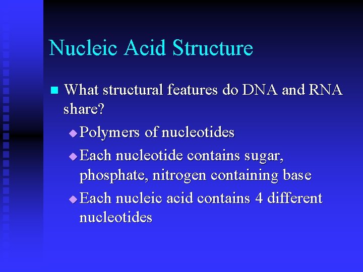 Nucleic Acid Structure n What structural features do DNA and RNA share? u Polymers