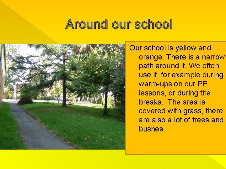 Around our school Our school is yellow and orange. There is a narrow path