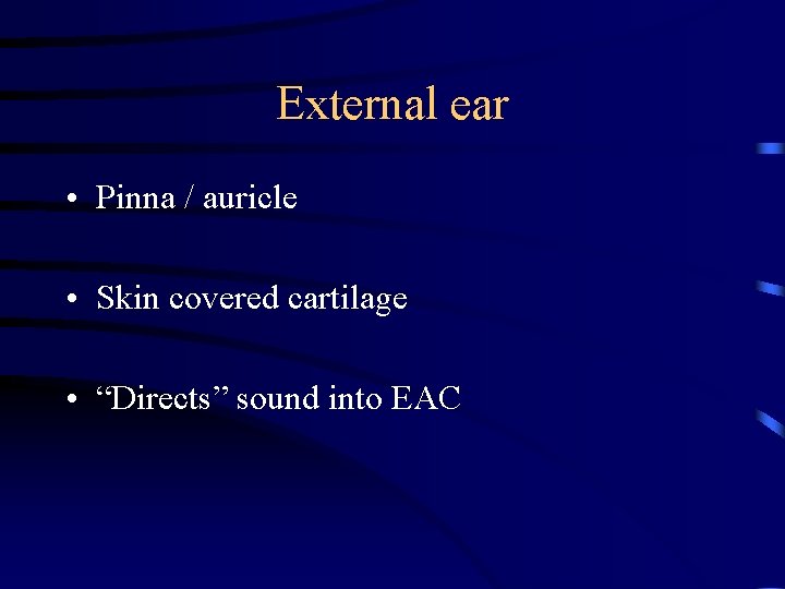 External ear • Pinna / auricle • Skin covered cartilage • “Directs” sound into External ear • Pinna / auricle • Skin covered cartilage • “Directs” sound into