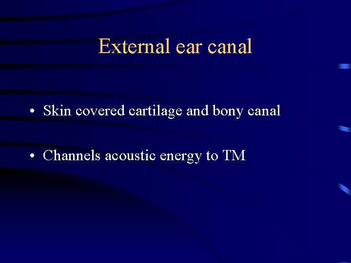 External ear canal • Skin covered cartilage and bony canal • Channels acoustic energy