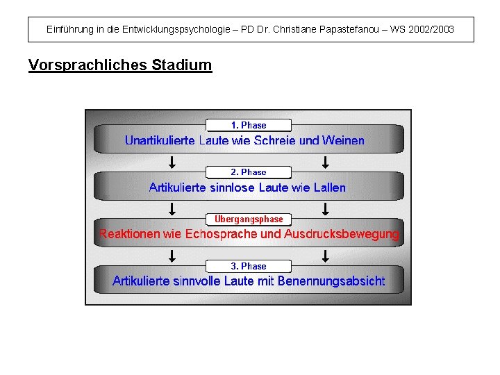 Einführung in die Entwicklungspsychologie – PD Dr. Christiane Papastefanou – WS 2002/2003 Vorsprachliches Stadium