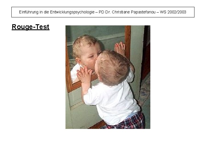 Einführung in die Entwicklungspsychologie – PD Dr. Christiane Papastefanou – WS 2002/2003 Rouge-Test 