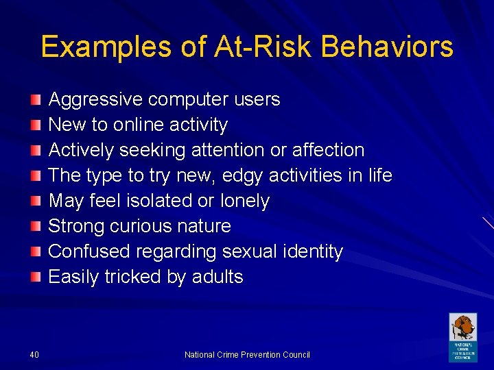 Examples of At-Risk Behaviors Aggressive computer users New to online activity Actively seeking attention