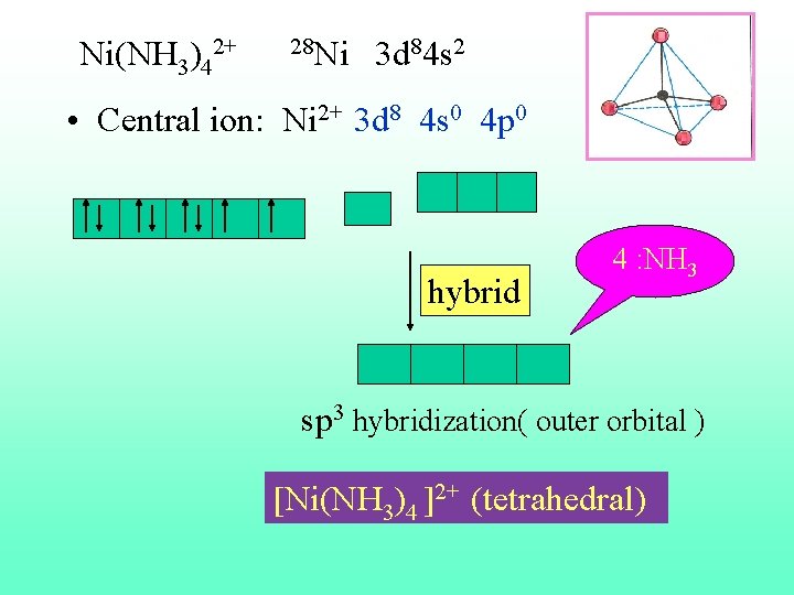  Ni(NH 3)42+ 28 Ni 3 d 84 s 2 • Central ion: Ni