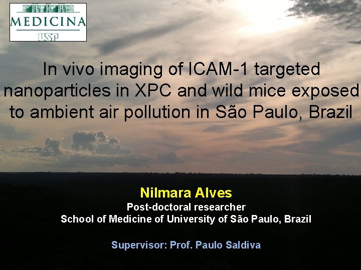In vivo imaging of ICAM-1 targeted nanoparticles in XPC and wild mice exposed to