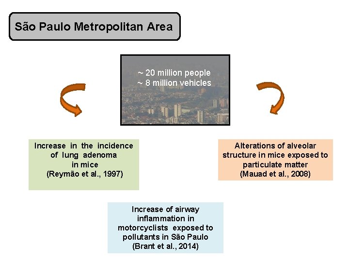 São Paulo Metropolitan Area ~ 20 million people ~ 8 million vehicles Increase in