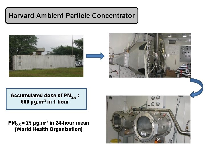 Harvard Ambient Particle Concentrator Accumulated dose of PM 2. 5 : 600 µg. m-3