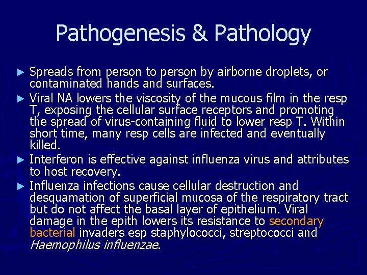 Pathogenesis & Pathology Spreads from person to person by airborne droplets, or contaminated hands Pathogenesis & Pathology Spreads from person to person by airborne droplets, or contaminated hands