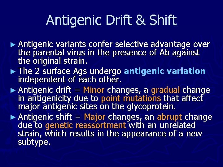 Antigenic Drift & Shift ► Antigenic variants confer selective advantage over the parental virus Antigenic Drift & Shift ► Antigenic variants confer selective advantage over the parental virus