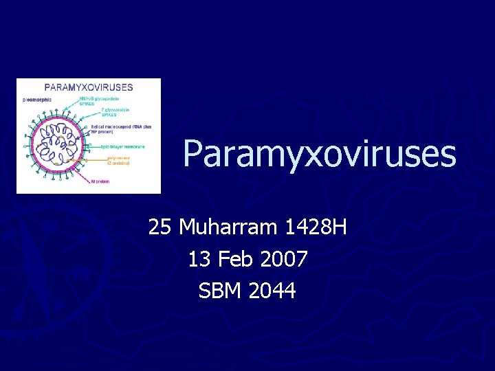 Paramyxoviruses 25 Muharram 1428 H 13 Feb 2007 SBM 2044 Paramyxoviruses 25 Muharram 1428 H 13 Feb 2007 SBM 2044