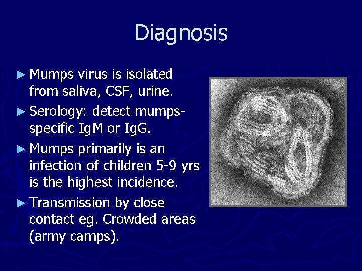 Diagnosis ► Mumps virus is isolated from saliva, CSF, urine. ► Serology: detect mumpsspecific Diagnosis ► Mumps virus is isolated from saliva, CSF, urine. ► Serology: detect mumpsspecific